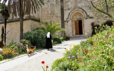 Naar het klooster in Abu Gosh